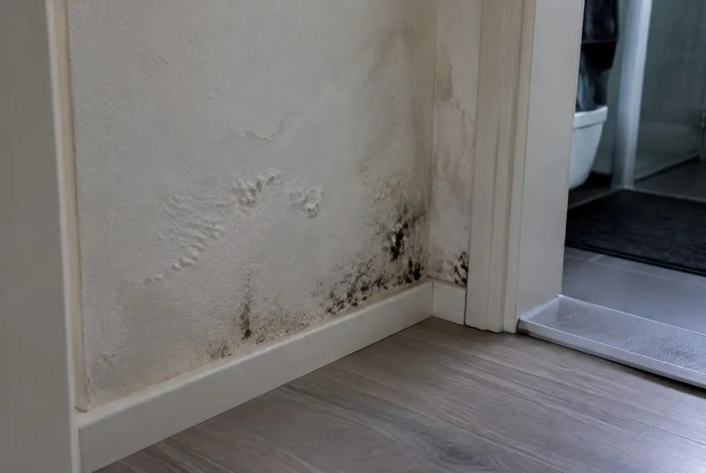 Lekdetectie Loosdrecht – vochtplek met schimmel op een muur